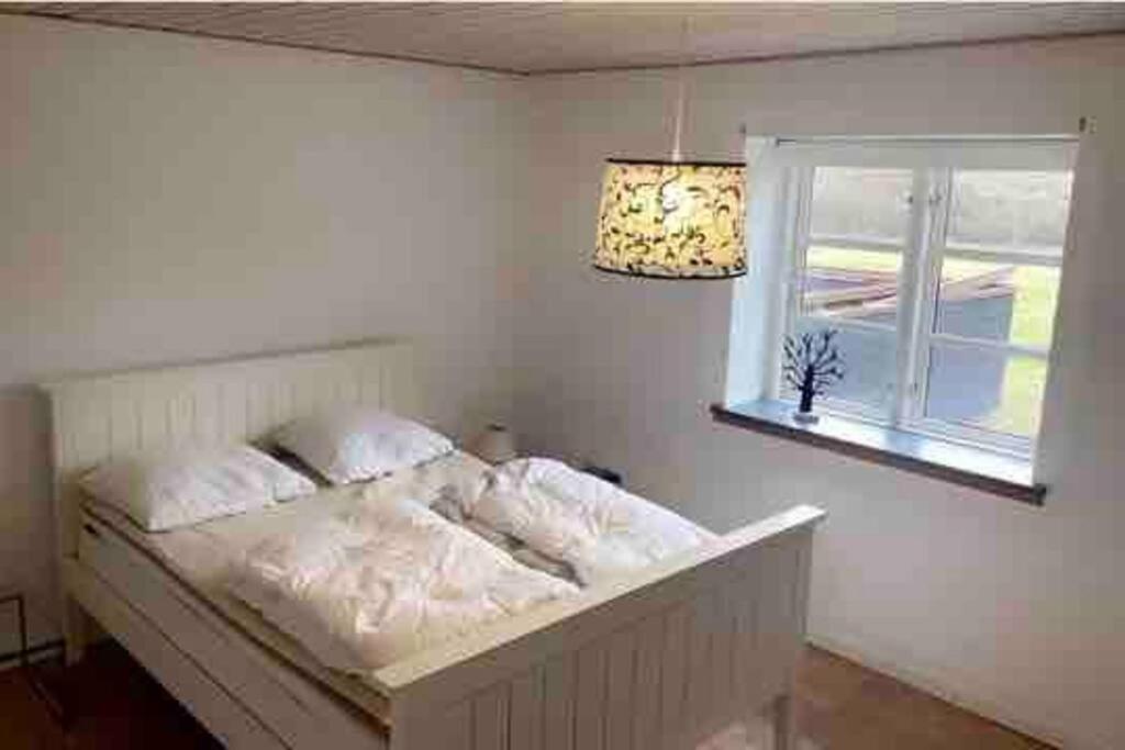Dejligt Stort Hus Med Spa Aalbaek Bagian luar foto